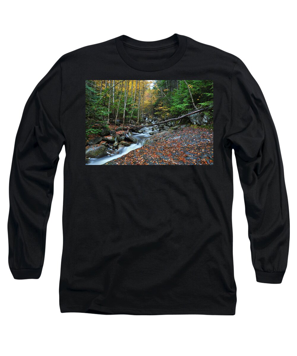 Photograph Long Sleeve T-Shirt featuring the photograph Coffee and Cream by Richard Gehlbach