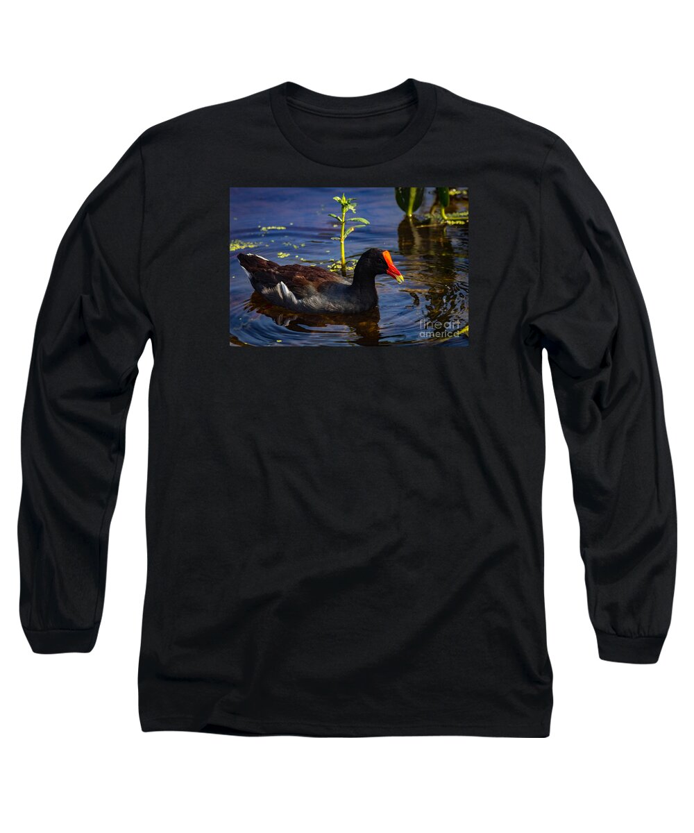 Nature Long Sleeve T-Shirt featuring the photograph Common Moorhen by George Kenhan