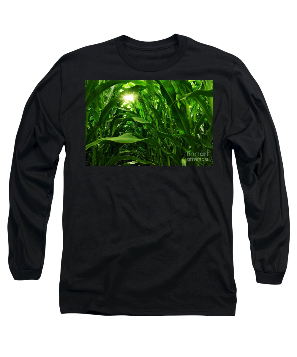 Agriculture Long Sleeve T-Shirt featuring the photograph Corn Field by Carlos Caetano