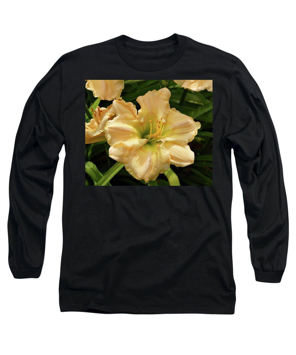 Daylilies Long Sleeve T-Shirt featuring the photograph Cream Daylily by Sandy Keeton
