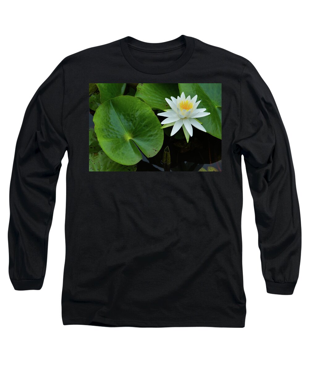 Bloom Long Sleeve T-Shirt featuring the photograph Crisp White and Yellow Lily by Dennis Dame