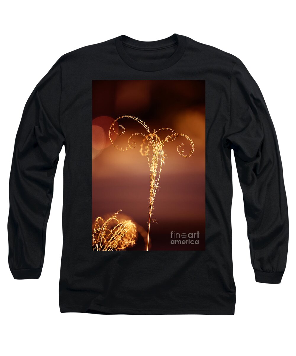 Grass Long Sleeve T-Shirt featuring the photograph Crossed Curl by Kathy Strauss