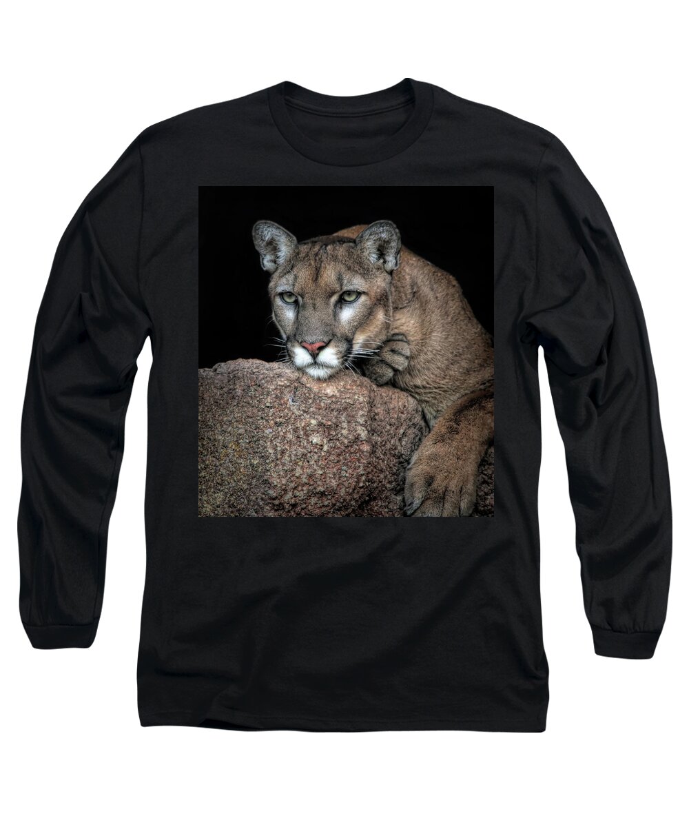 Mountain Lions Long Sleeve T-Shirt featuring the photograph Cruz Dramatic HDR by Elaine Malott