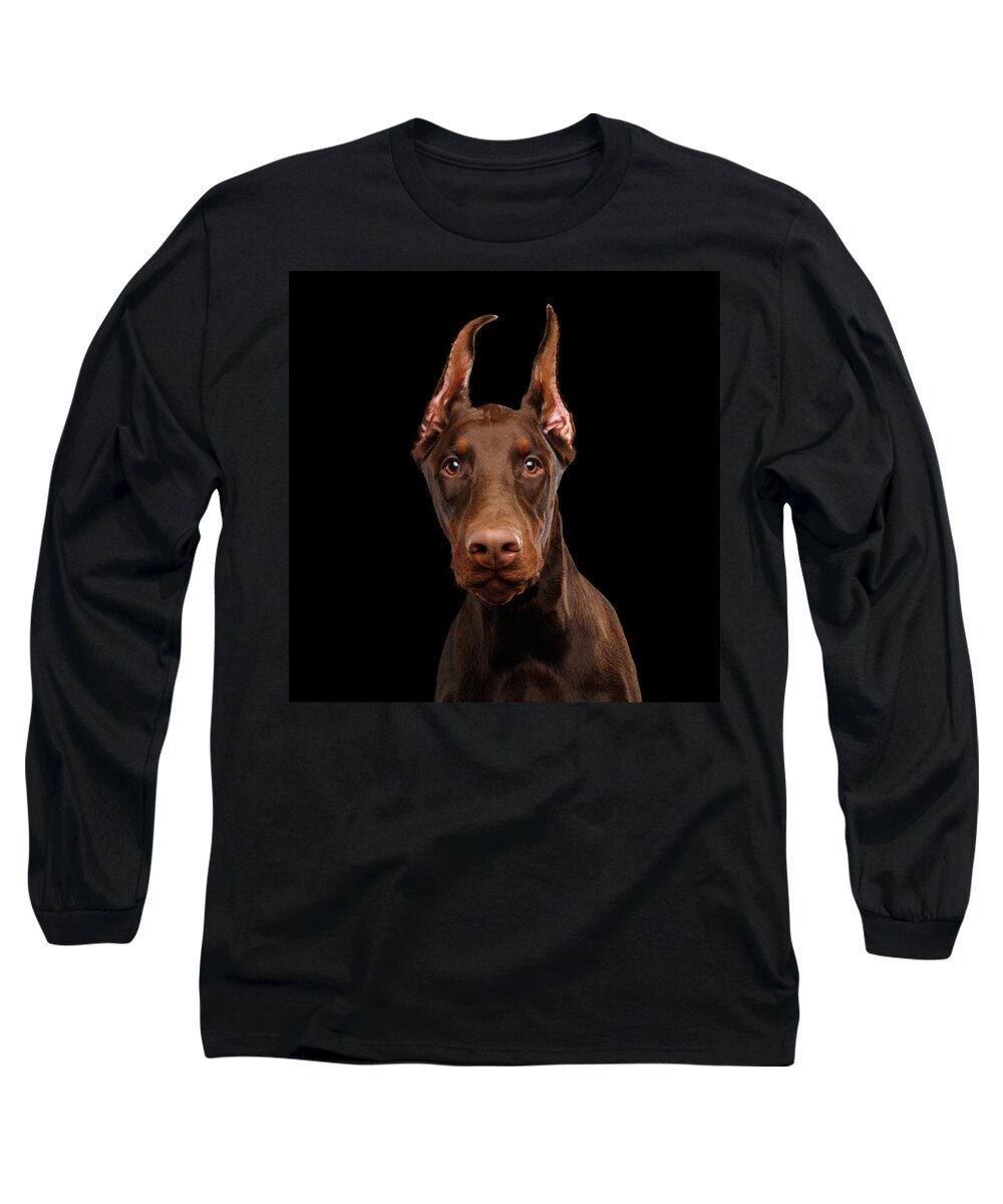 Doberman Long Sleeve T-Shirt featuring the photograph Curious Doberman by Sergey Taran