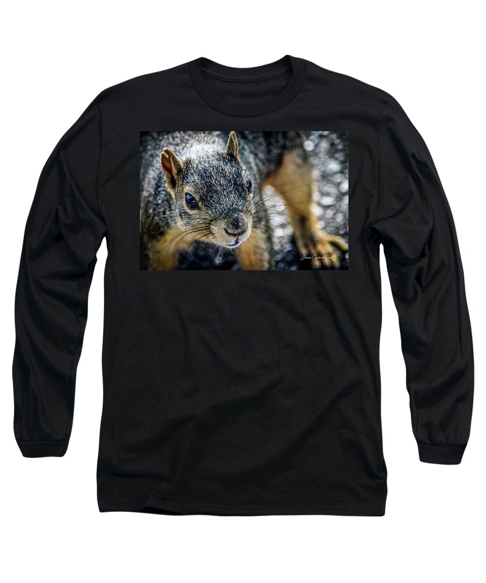 Brown Squirrel Long Sleeve T-Shirt featuring the photograph Curious Squirrel by Joann Copeland-Paul