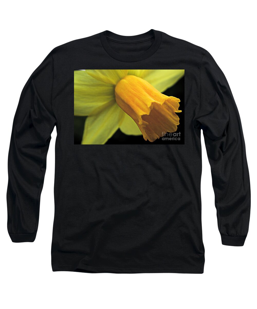 Daffodil Long Sleeve T-Shirt featuring the photograph Daffodil - Narcissus - Portrait by Martyn Arnold