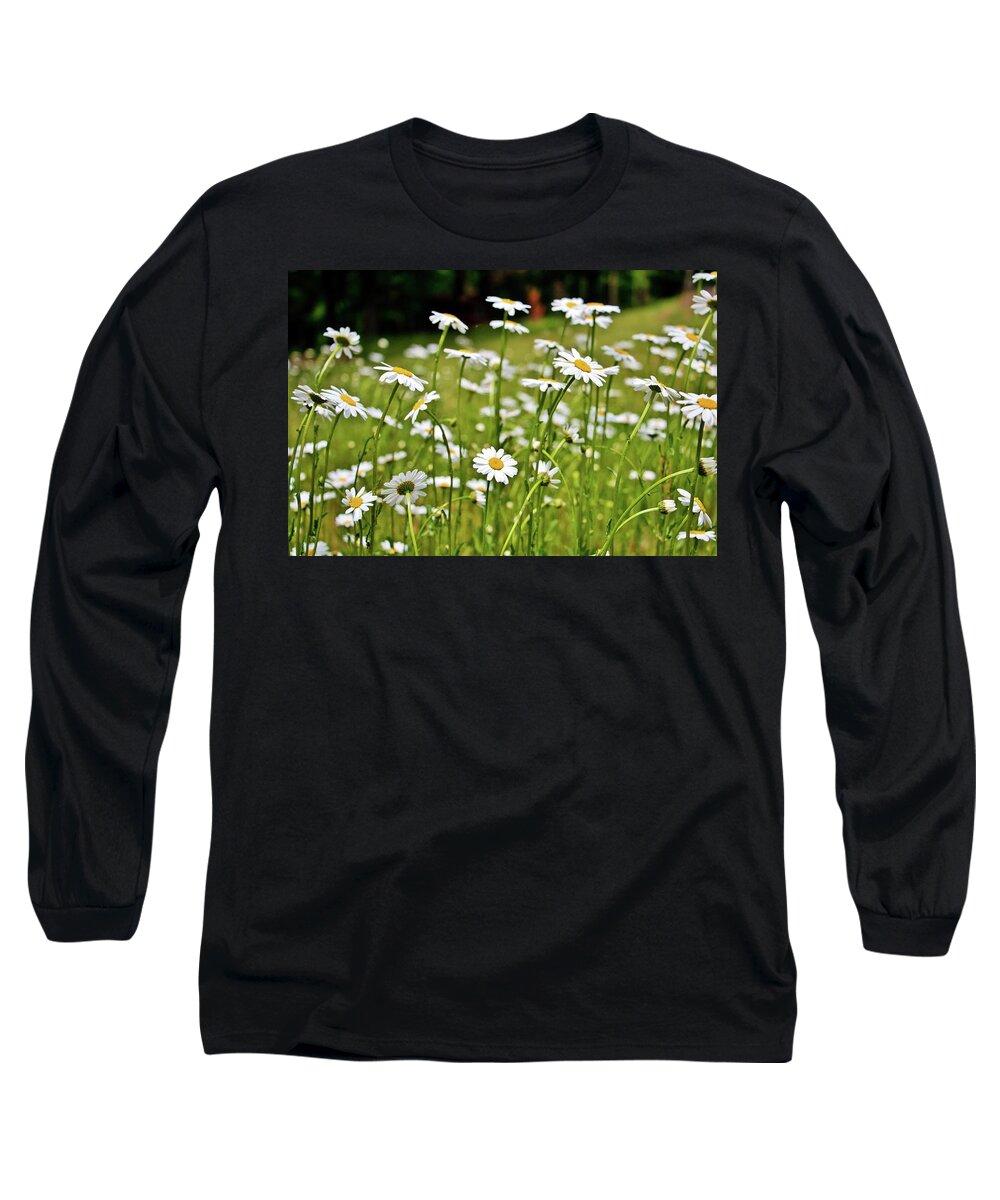 Daisies Long Sleeve T-Shirt featuring the photograph Daisies in the Field by Marisa Geraghty Photography