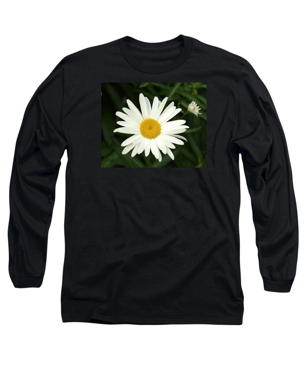 Daisy Long Sleeve T-Shirt featuring the photograph Daisy Days by Carol Sweetwood