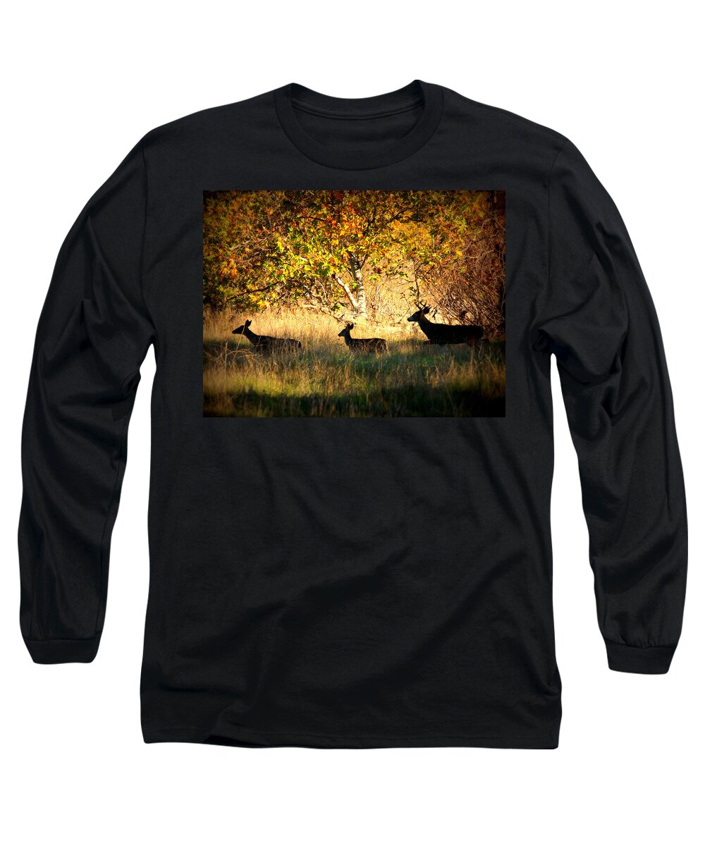 Landscape Long Sleeve T-Shirt featuring the photograph Deer Family in Sycamore Park by Carol Groenen