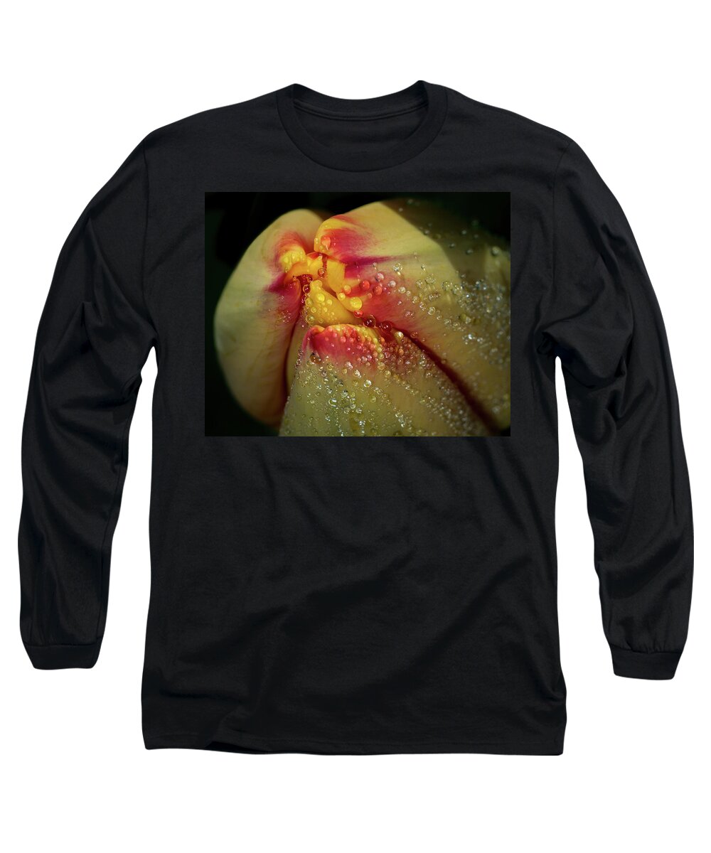 Jay Stockhaus Long Sleeve T-Shirt featuring the photograph Dew Drops on the Tulip by Jay Stockhaus