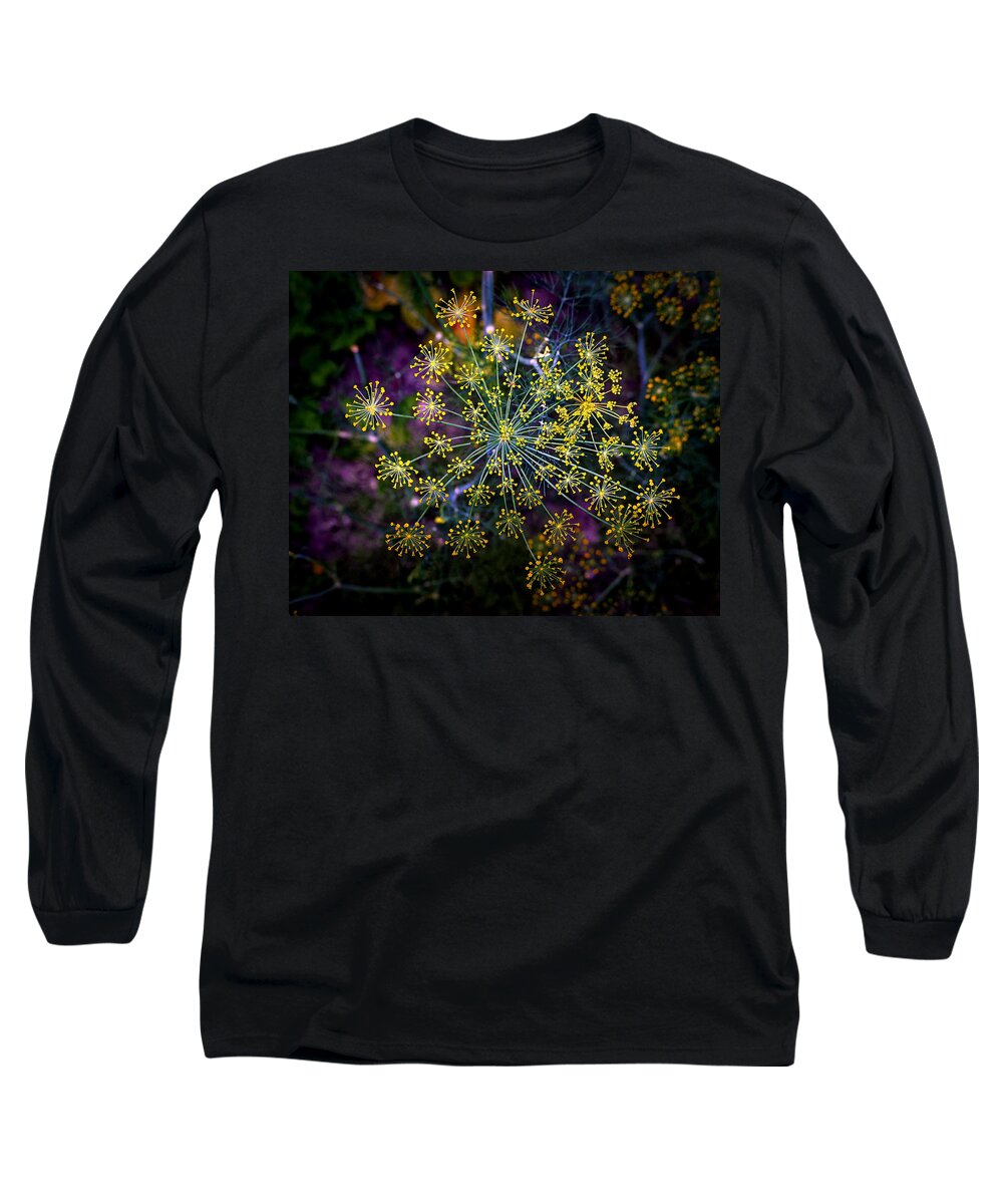 Dill Long Sleeve T-Shirt featuring the photograph Dill Going To Seed by Bill Swartwout