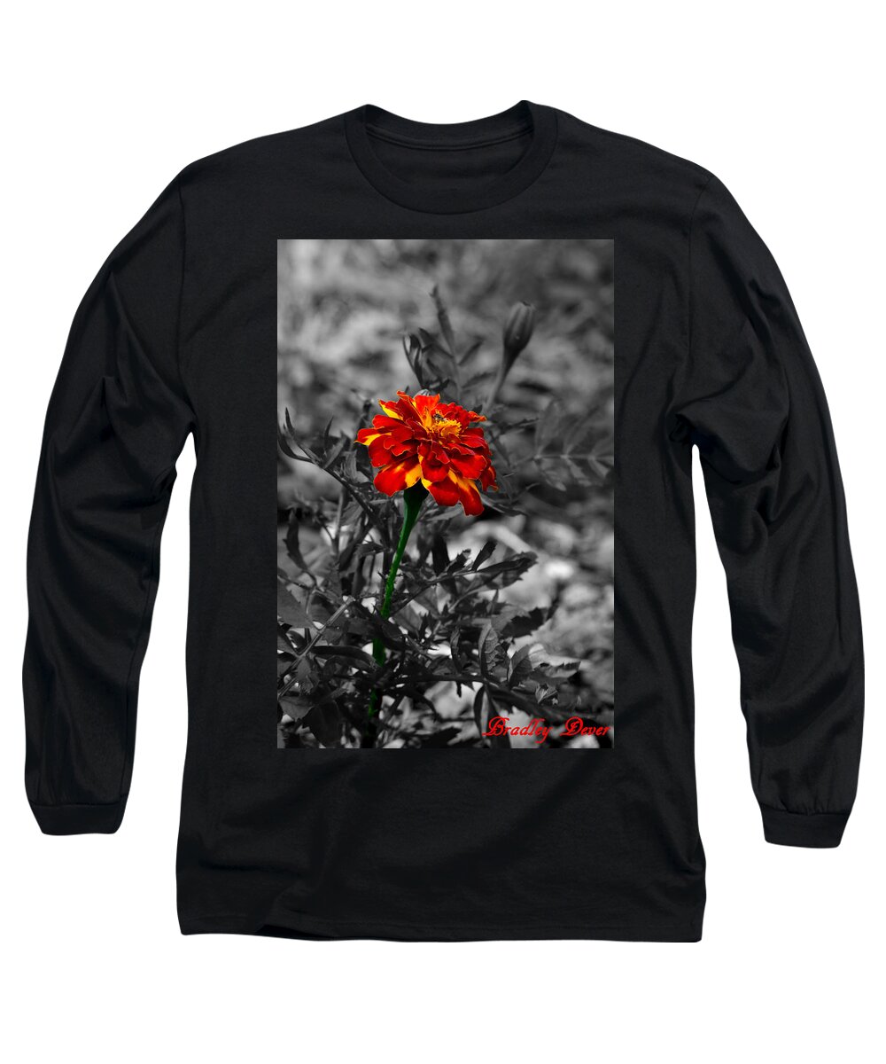 Selected Color Long Sleeve T-Shirt featuring the photograph Disdain by Bradley Dever