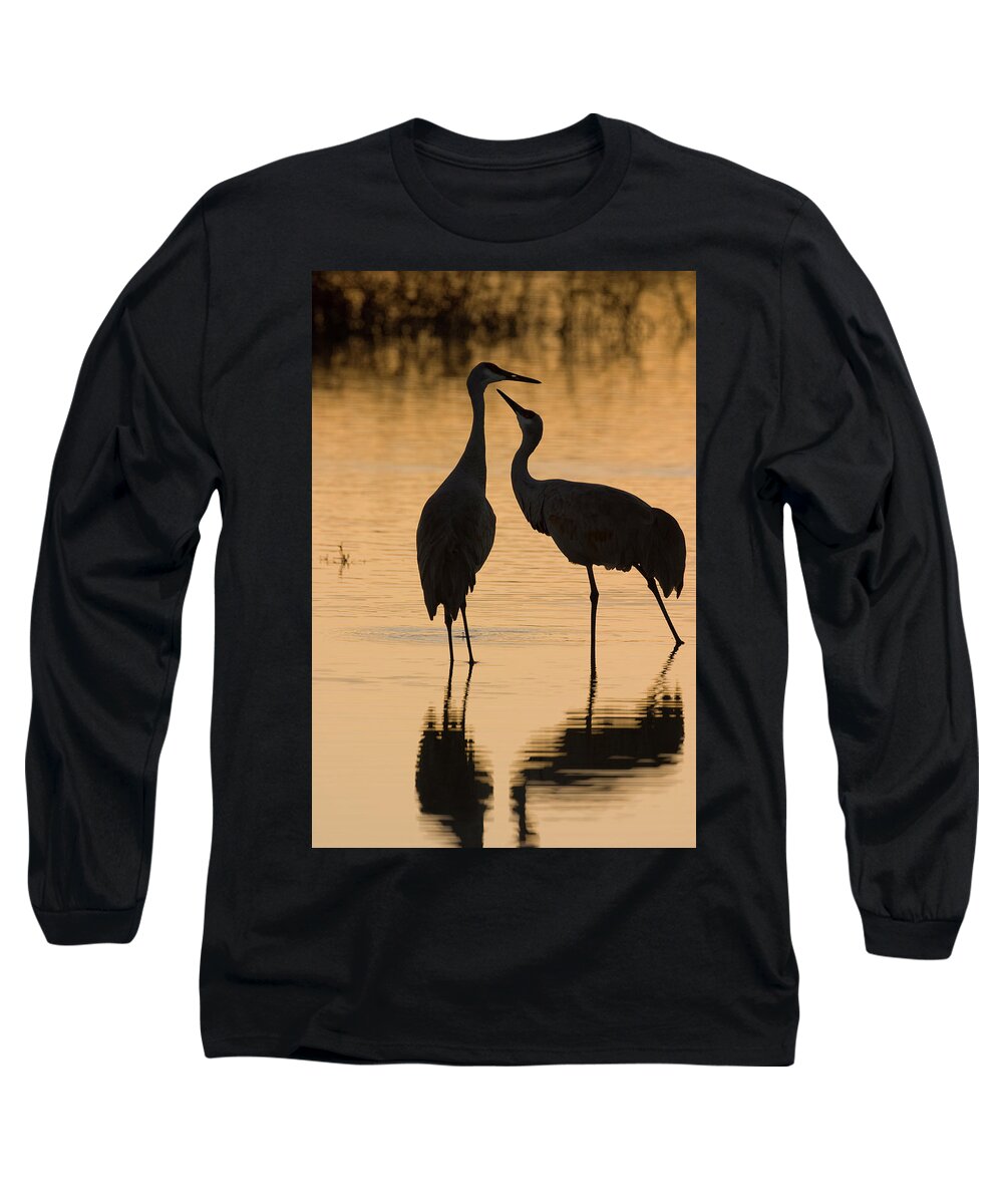 Wild Long Sleeve T-Shirt featuring the photograph Duet of Cranes by Mark Miller