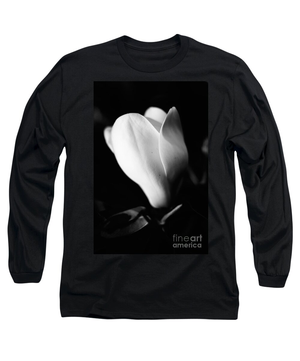 Magnolia Long Sleeve T-Shirt featuring the photograph Early Stages by Metaphor Photo