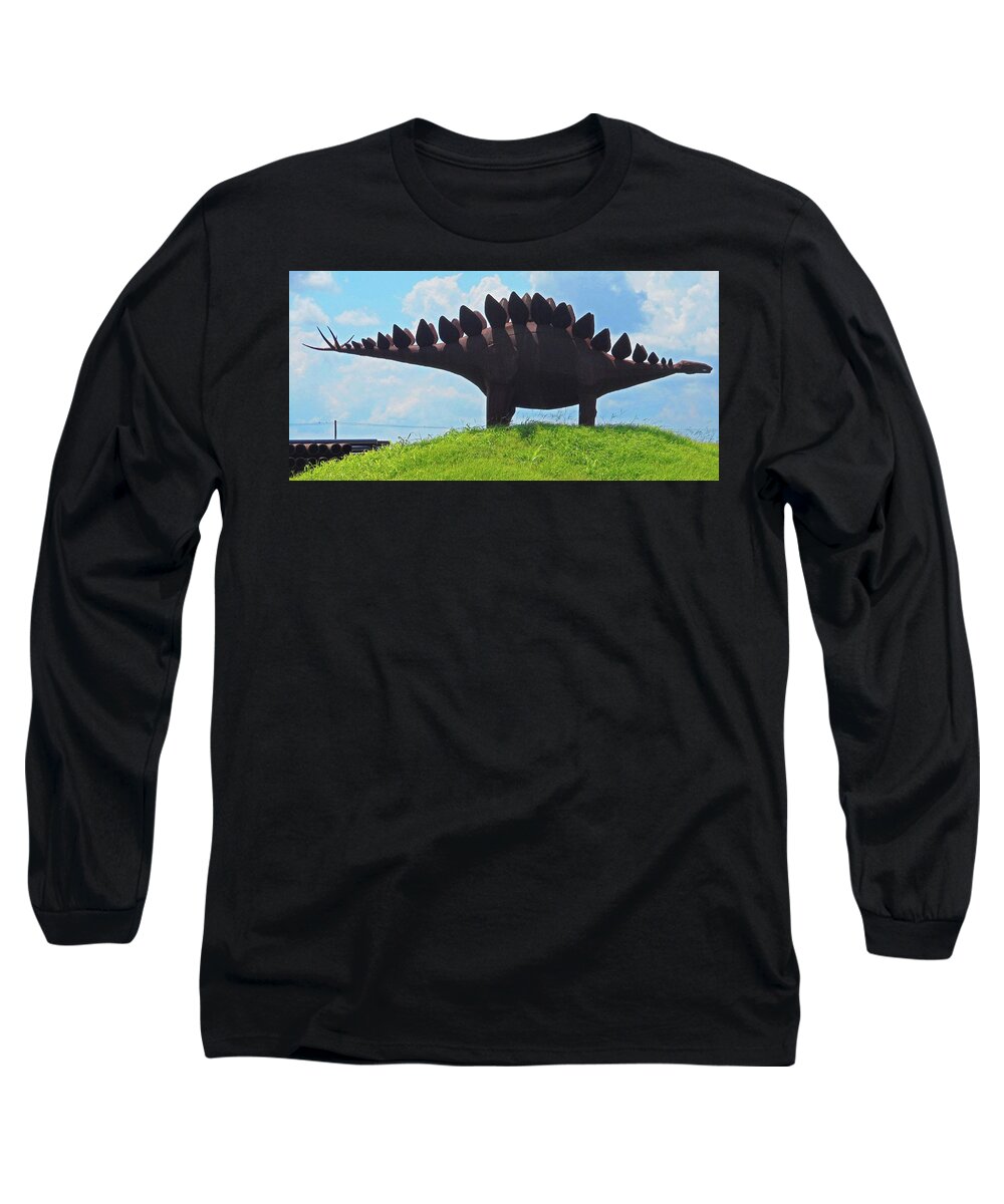 Houston Long Sleeve T-Shirt featuring the photograph Eclectric Menagerie 19 by Ron Kandt