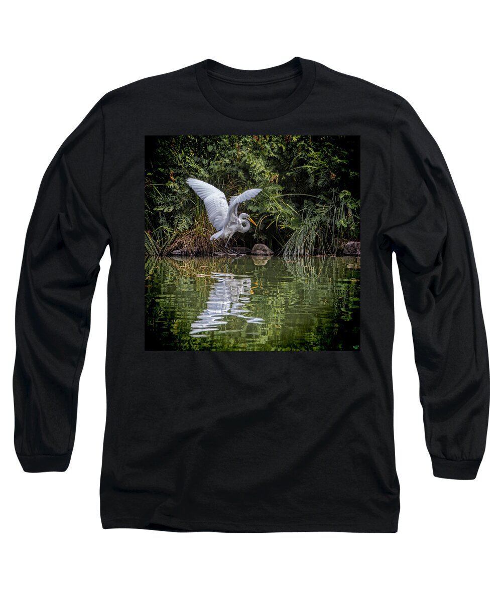 Egret Long Sleeve T-Shirt featuring the photograph Egret Hunting for Lunch by Chris Lord