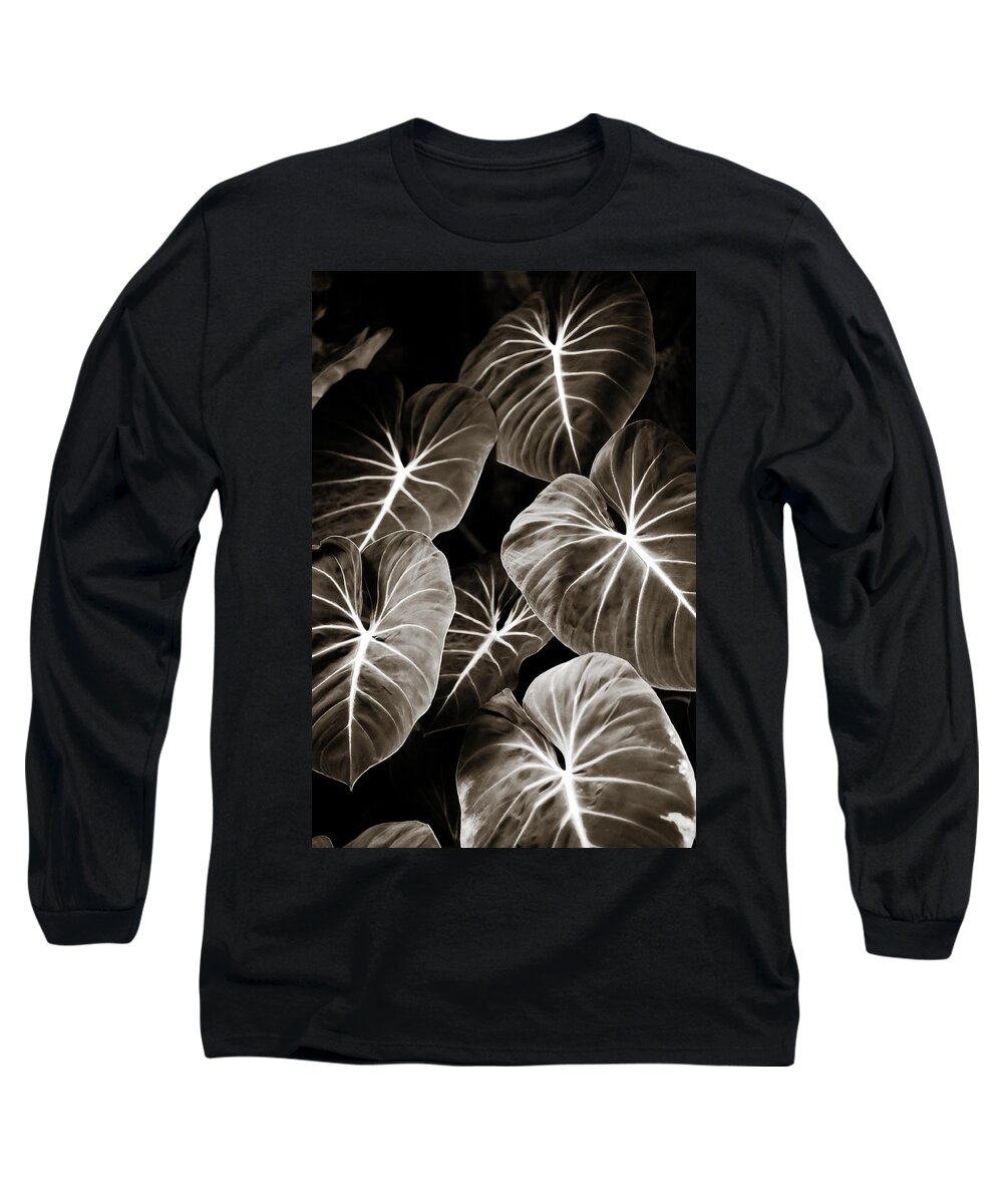 Elephant Long Sleeve T-Shirt featuring the photograph Elephant Ears on Parade by Marilyn Hunt