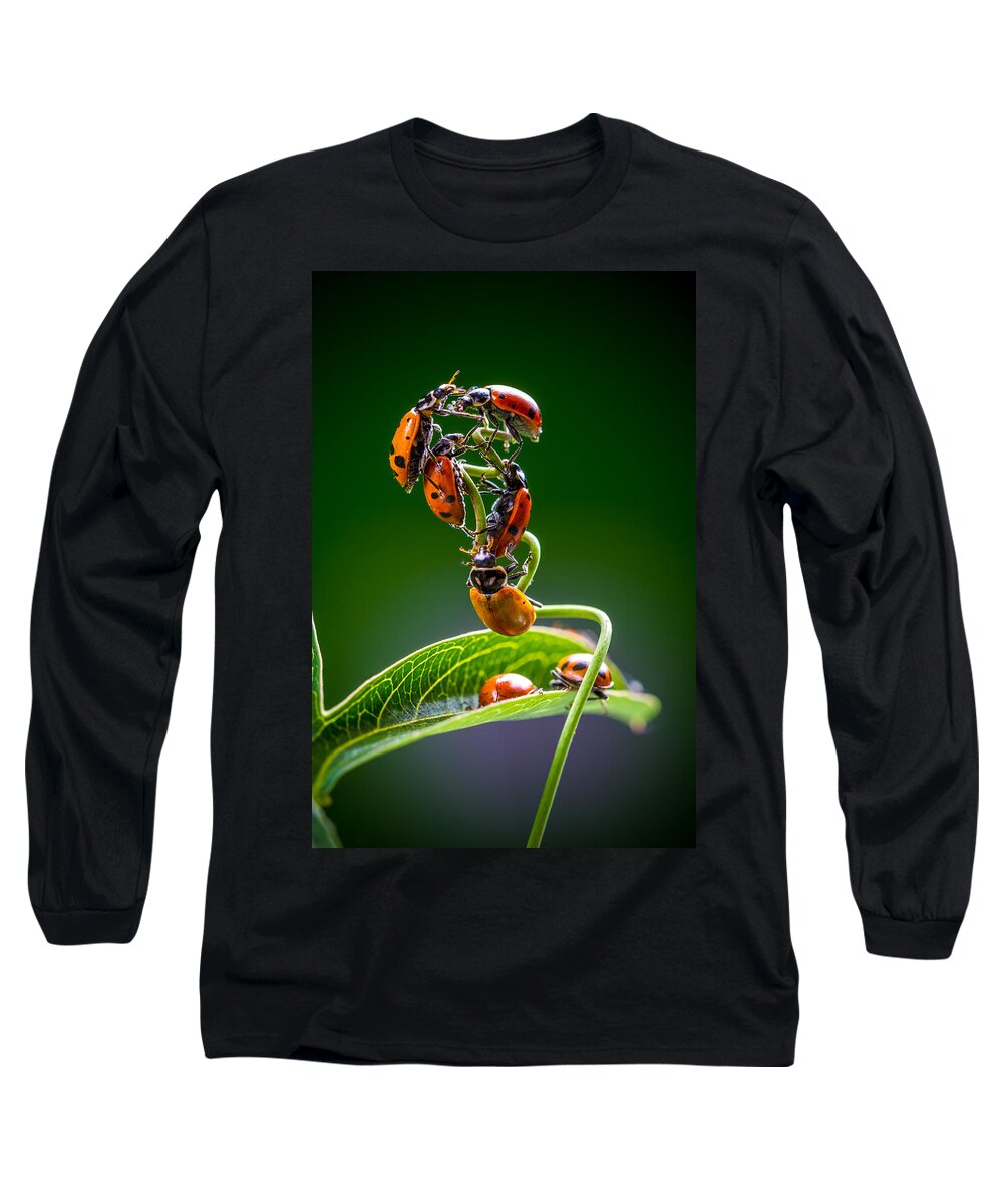 Ladybugs Long Sleeve T-Shirt featuring the photograph Exclamation Period by TC Morgan
