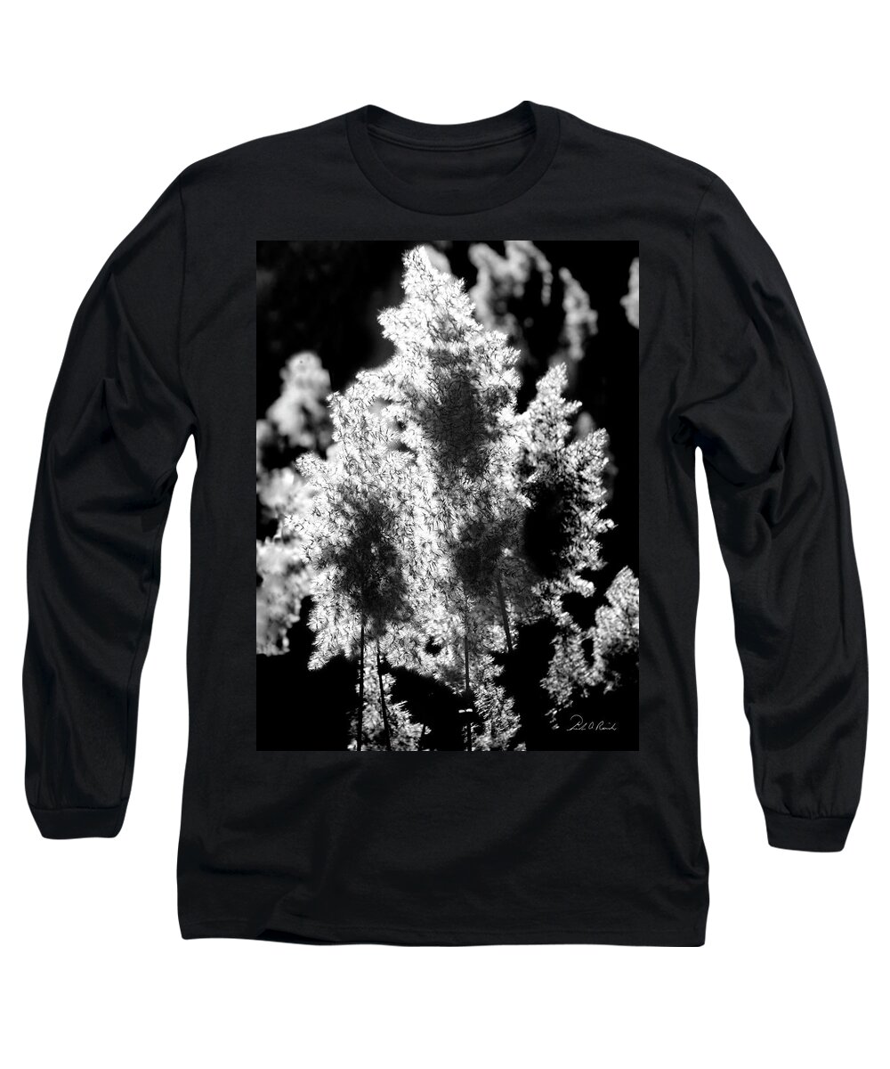 Cat Tails Long Sleeve T-Shirt featuring the photograph Exploded Cat Tails by Frederic A Reinecke