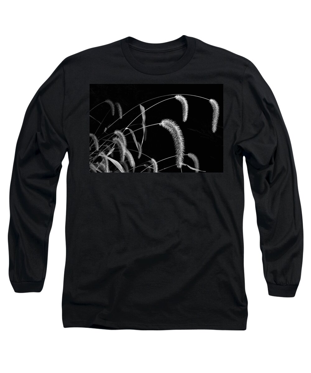 Grass Long Sleeve T-Shirt featuring the photograph Fall Grass 3 by Mark Fuller