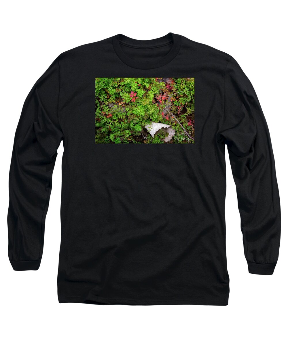 Leaves Long Sleeve T-Shirt featuring the photograph Fallen #2 by Patti Schulze