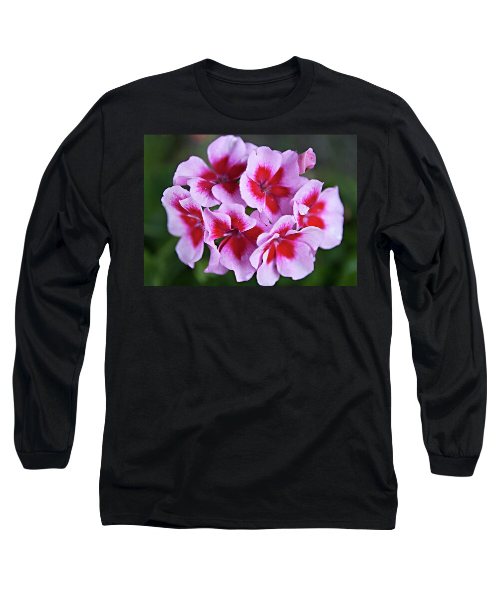 Flowers Long Sleeve T-Shirt featuring the photograph Family by Sherry Hallemeier