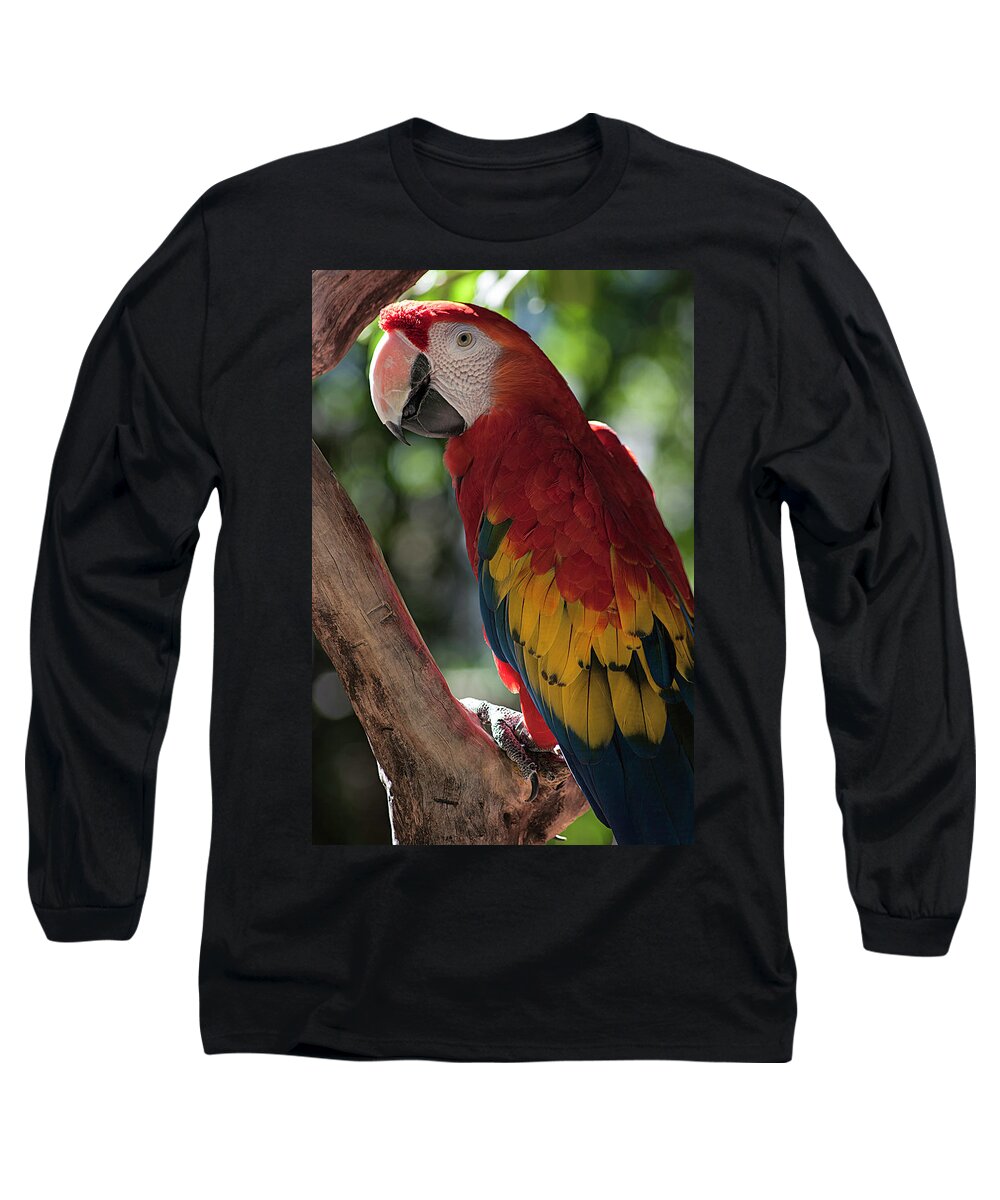 Photography Long Sleeve T-Shirt featuring the photograph Feathered Rainbow by Kathleen Messmer