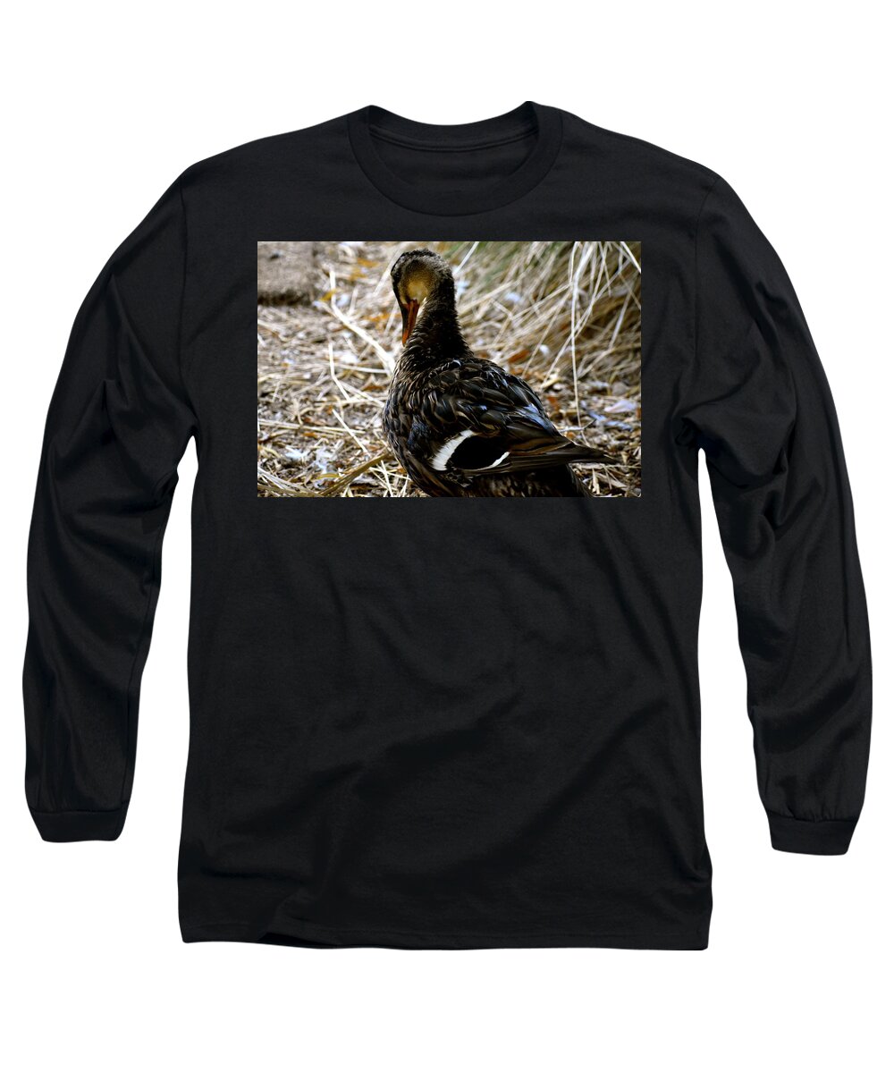 Duck Long Sleeve T-Shirt featuring the photograph Feathers 2 by Melisa Elliott
