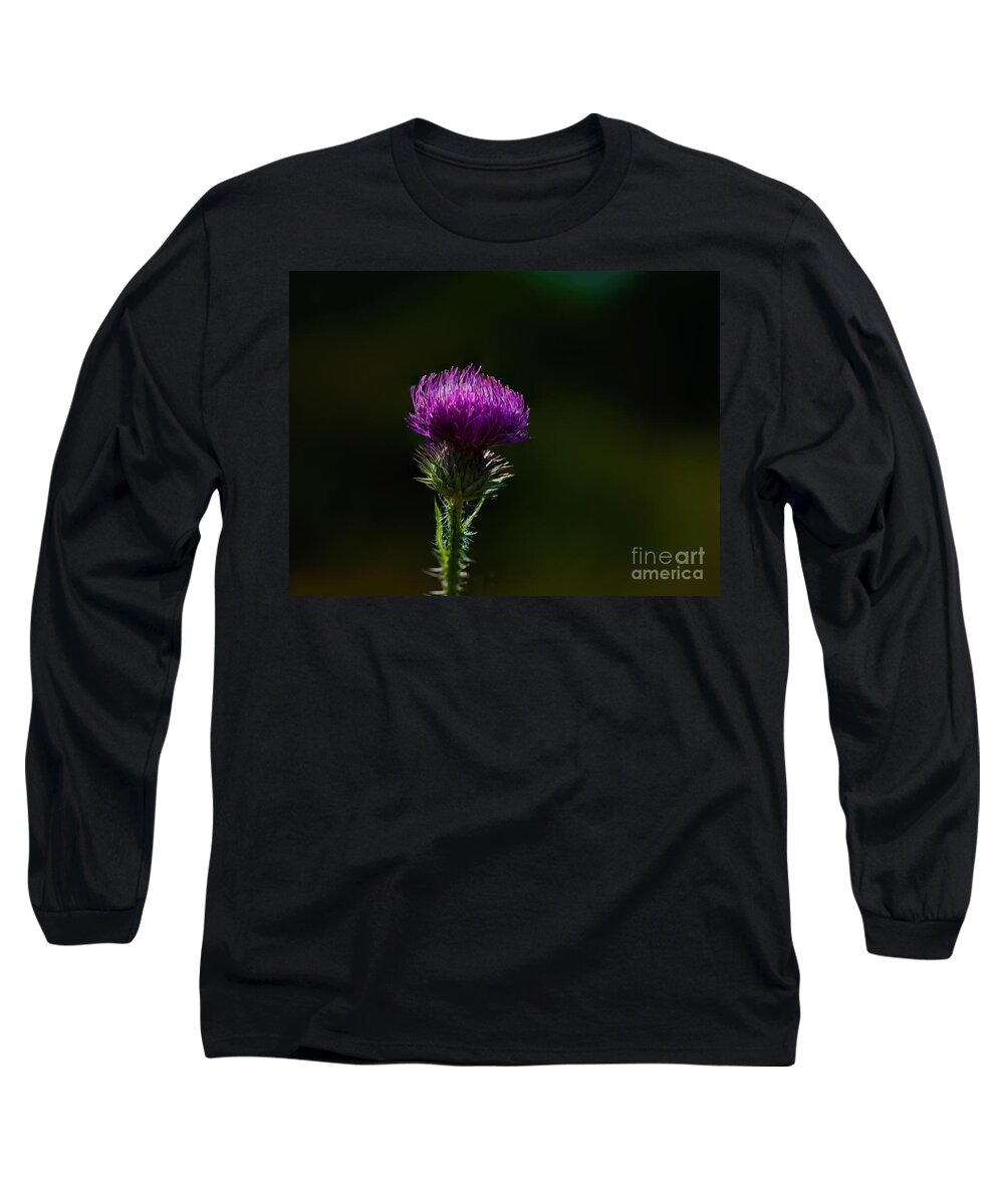 Carduus Discolor Long Sleeve T-Shirt featuring the photograph Field Thistle by Roger Monahan
