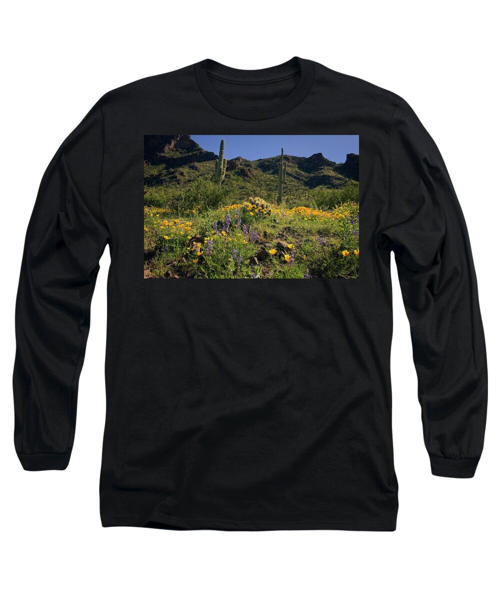 Picacho Peak State Park Long Sleeve T-Shirt featuring the photograph Fields of Glory by Lucinda Walter