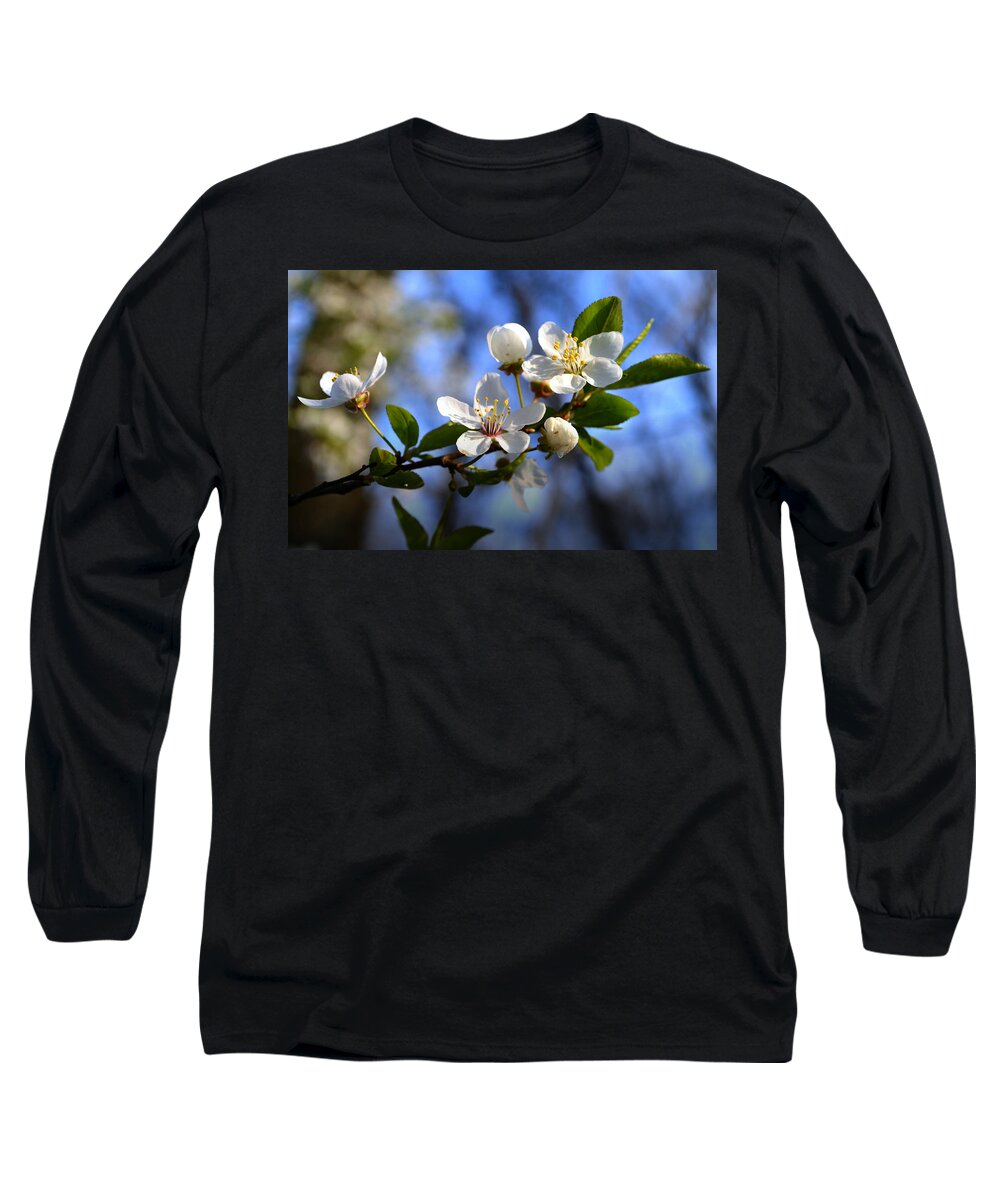Blossoms Long Sleeve T-Shirt featuring the photograph First blossoms by Rumiana Nikolova