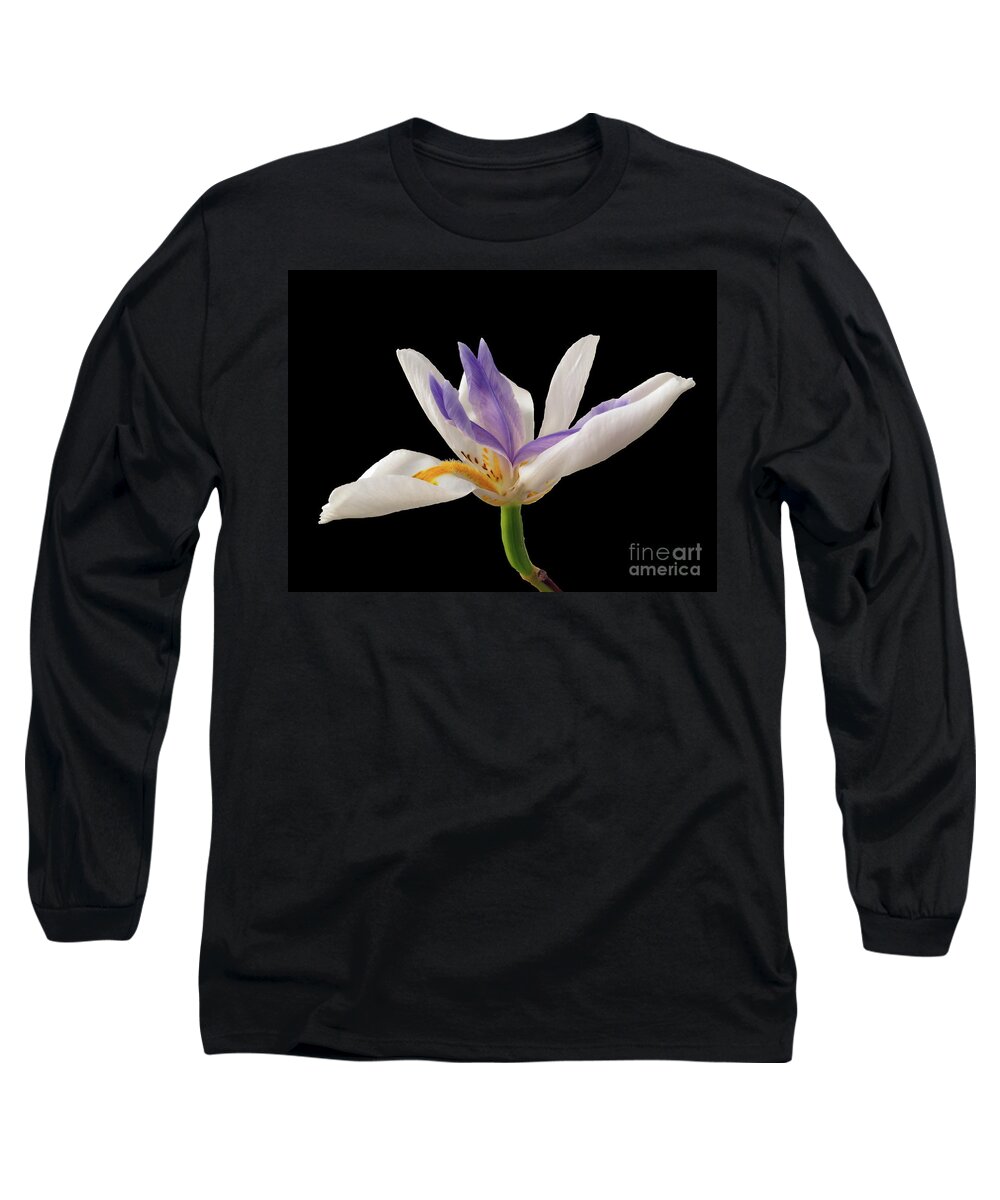 Wall Art Long Sleeve T-Shirt featuring the photograph Fortnight Lily on Black by Kelly Holm