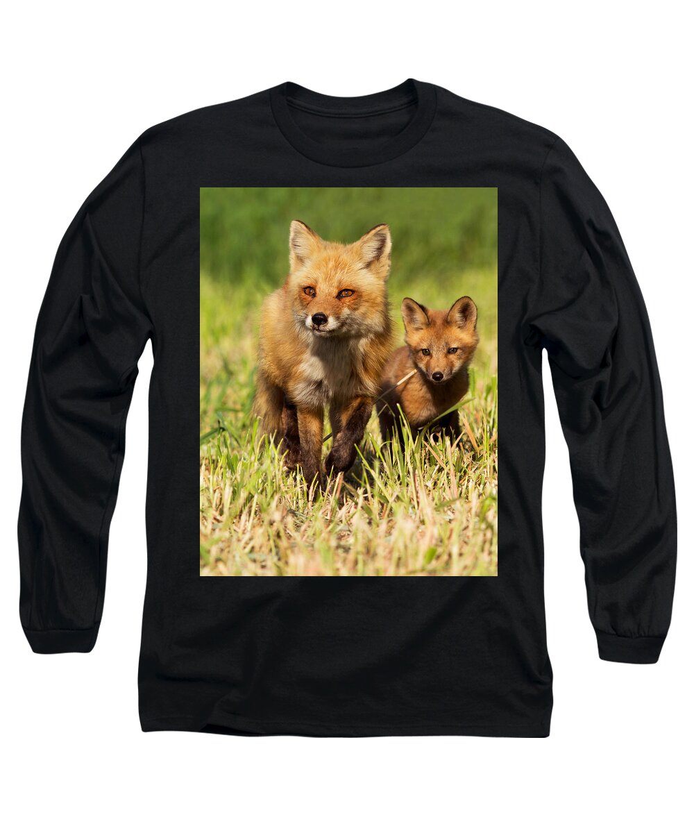 Pup Long Sleeve T-Shirt featuring the photograph Fox Family by Mircea Costina Photography