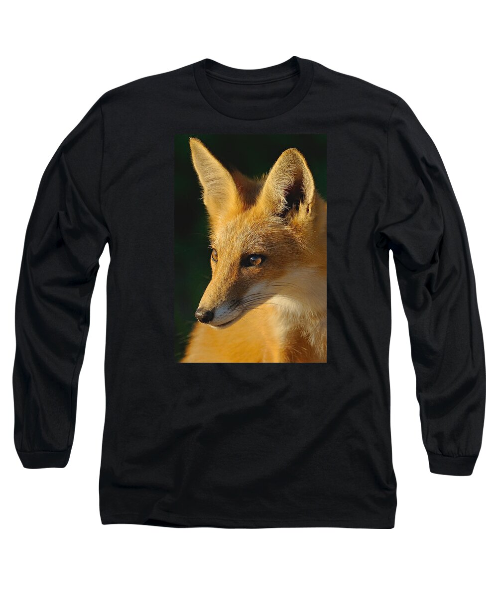 Fox Long Sleeve T-Shirt featuring the photograph Foxy Lady by William Jobes