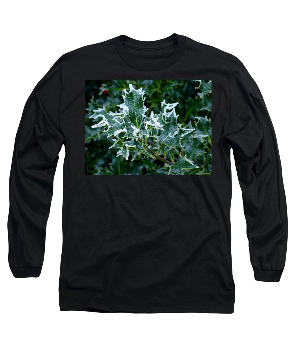 Green Long Sleeve T-Shirt featuring the photograph Frosted Holly by Shirley Heyn