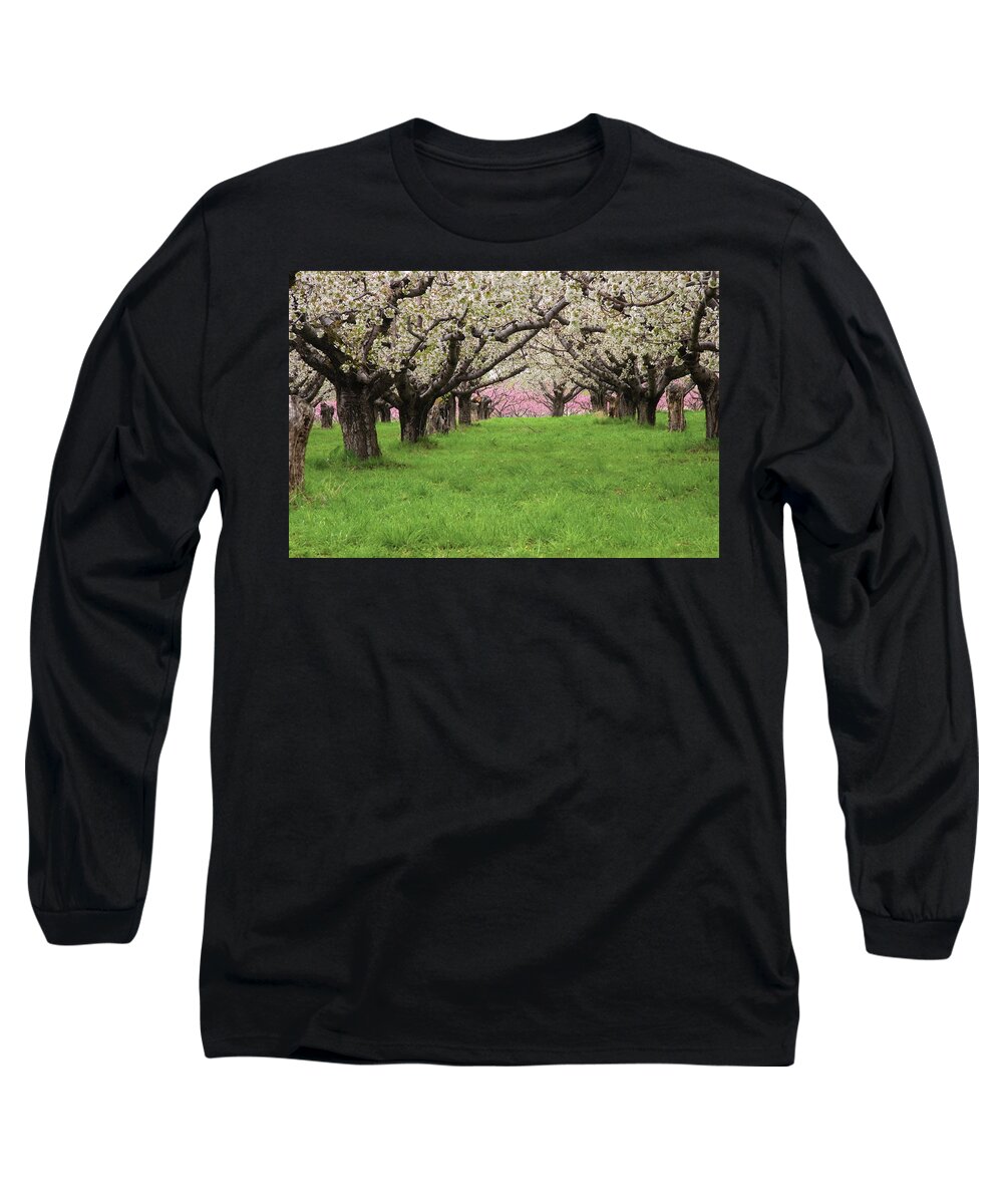 Orchard Long Sleeve T-Shirt featuring the photograph Fruit Orchard by Douglas Pulsipher