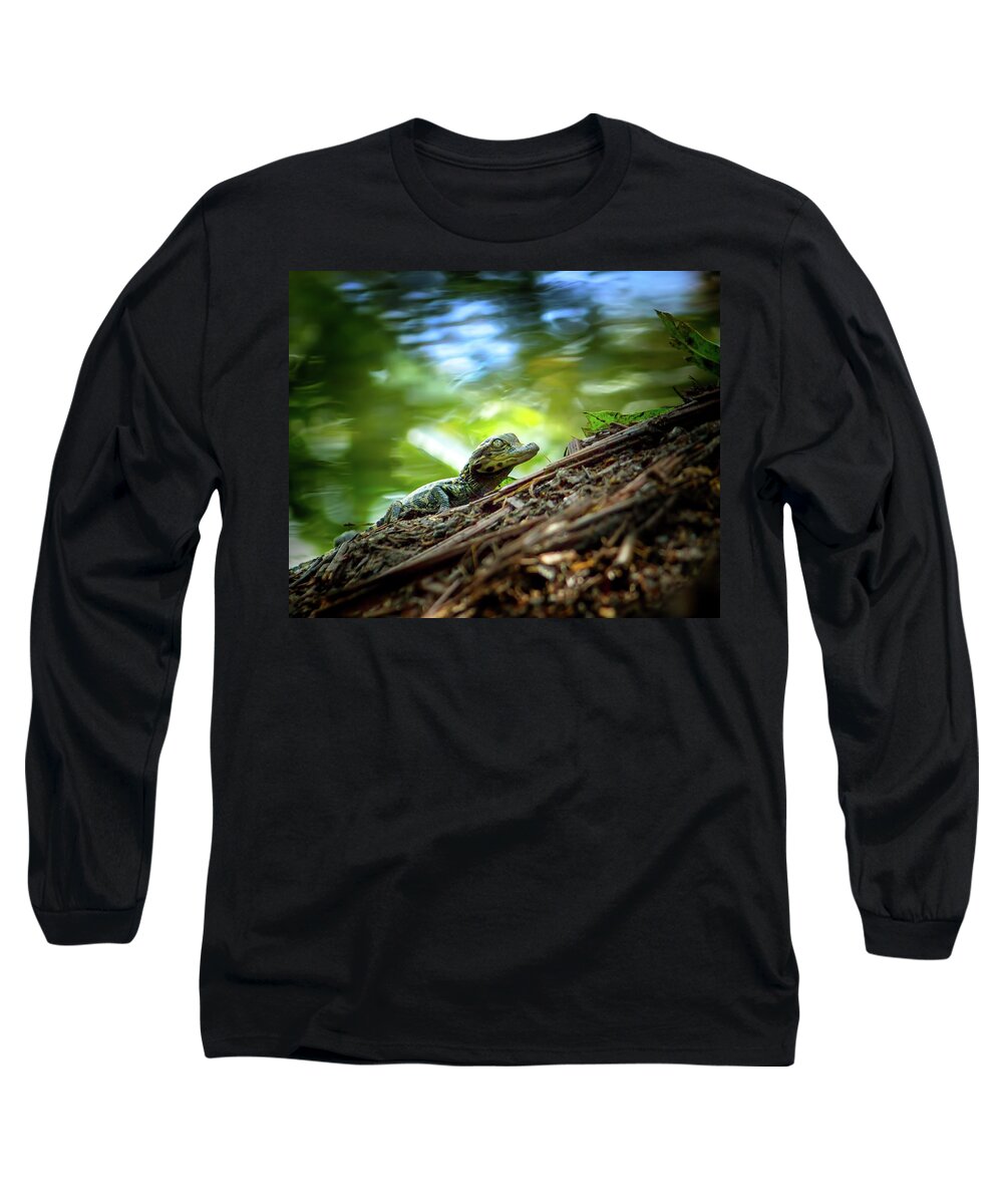 Alligator Long Sleeve T-Shirt featuring the photograph Gator Baby by Mark Andrew Thomas