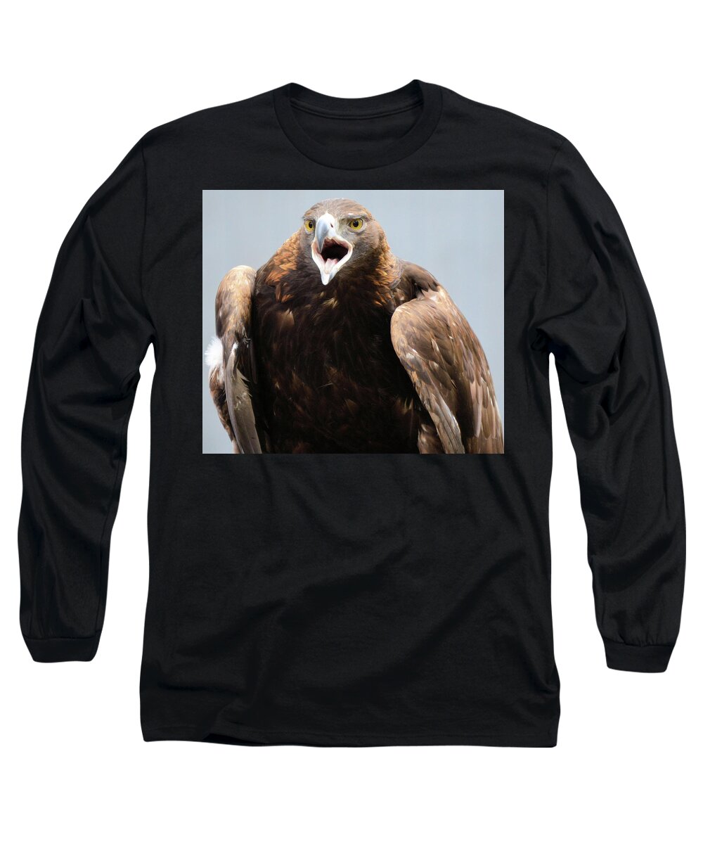 Eagles Long Sleeve T-Shirt featuring the photograph Golden Eagle by Charles HALL