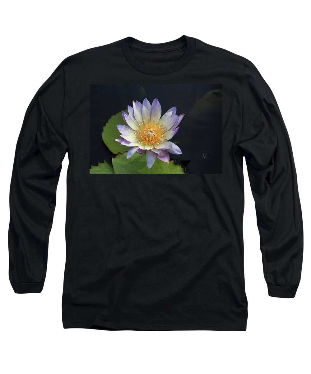 Water Lilies Long Sleeve T-Shirt featuring the photograph Golden Hue by Yvonne Wright