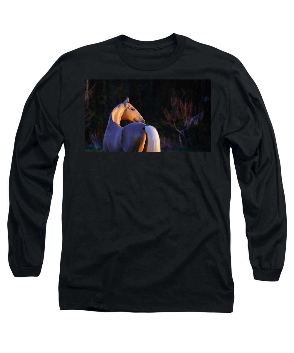 Russian Artists New Wave Long Sleeve T-Shirt featuring the photograph Golden Touch of Sunset by Ekaterina Druz