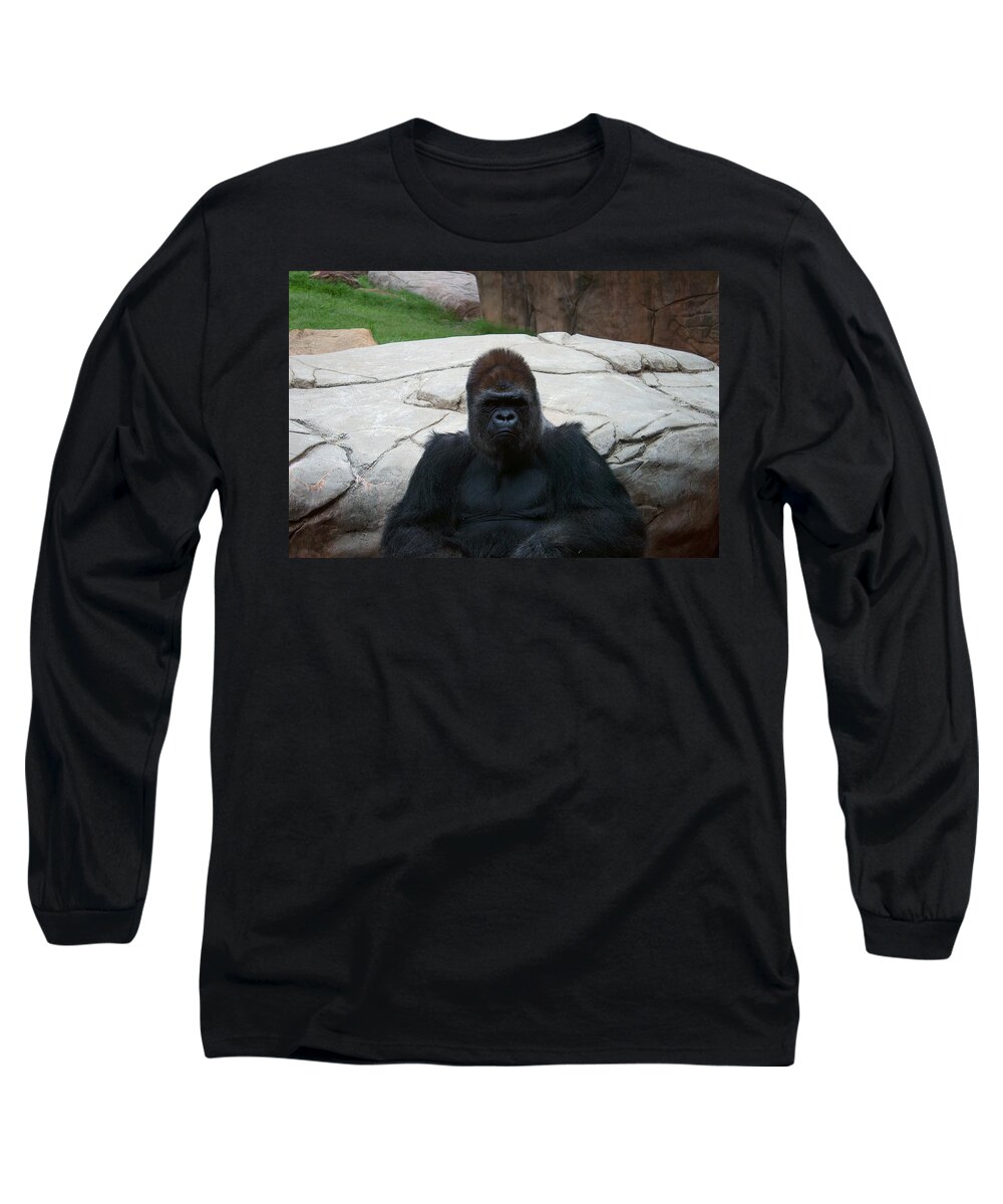 James Smullins Long Sleeve T-Shirt featuring the photograph Gorilla by James Smullins