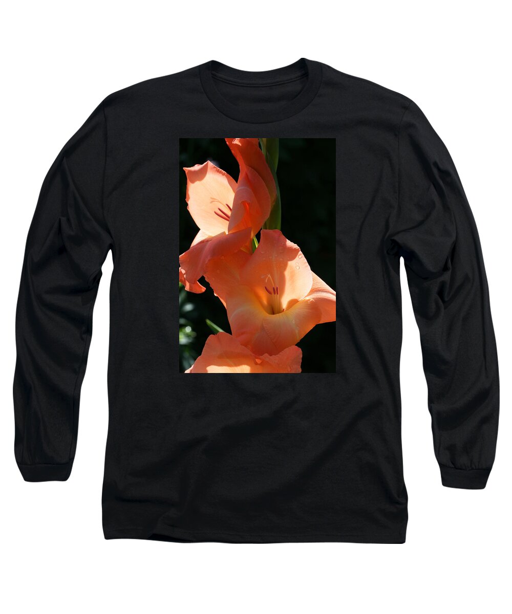 Gladiolus Long Sleeve T-Shirt featuring the photograph Graceful Gladiolus by Tammy Pool