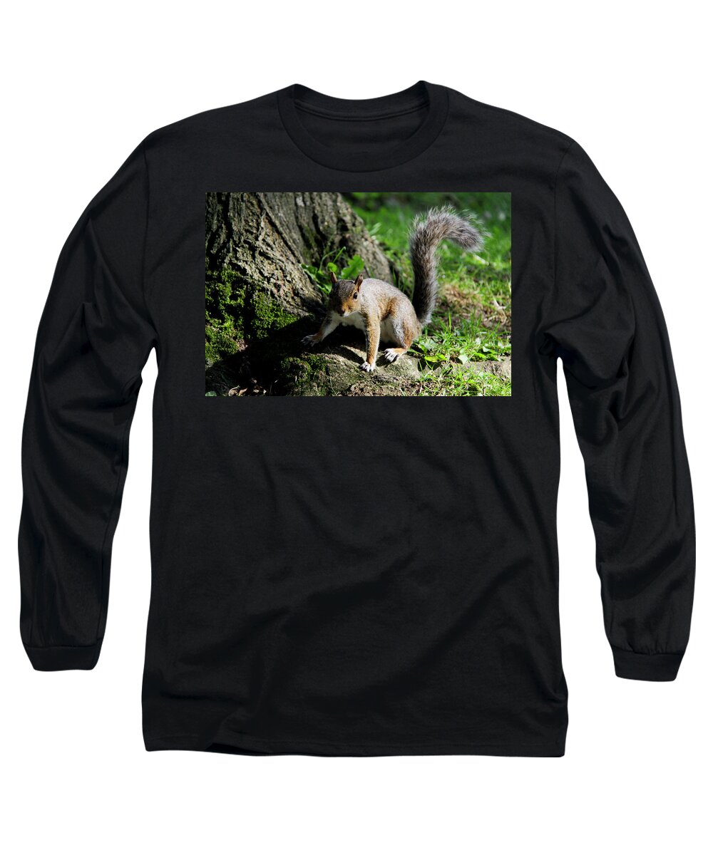 Nature Long Sleeve T-Shirt featuring the photograph Church Squirrel by Gavin Bates