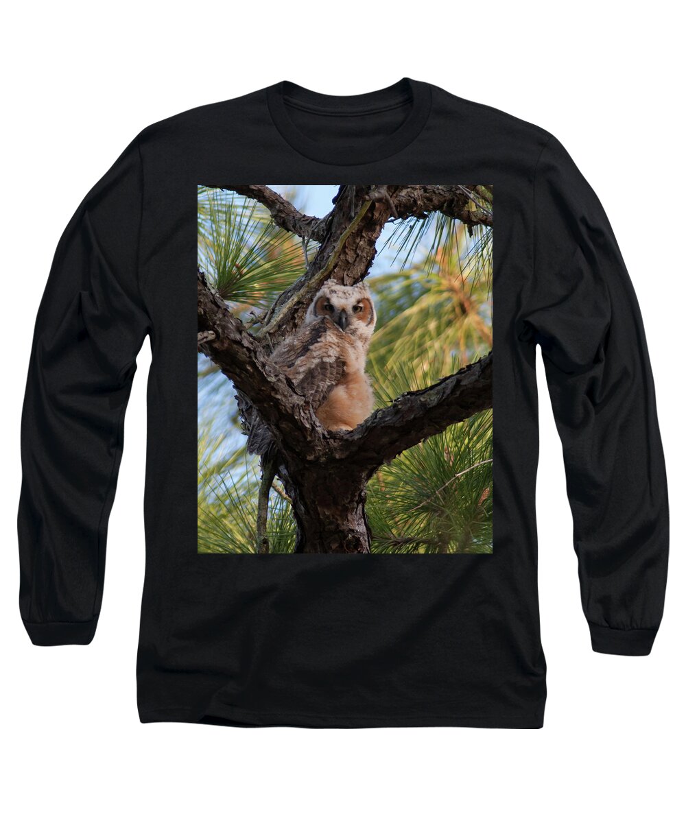 Owl Long Sleeve T-Shirt featuring the photograph Great Horned Owlet by Paul Rebmann
