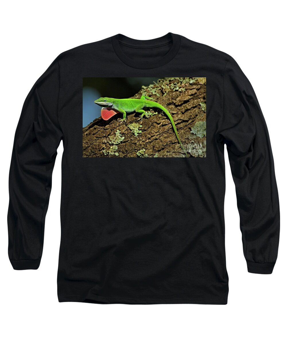 Dave Welling Long Sleeve T-Shirt featuring the photograph Green Anole Lizard Anolis Carolensis Wild Texas by Dave Welling