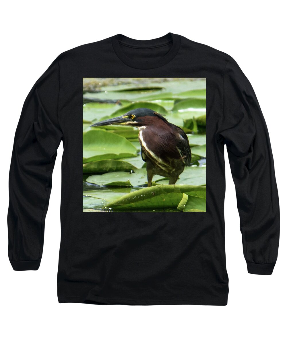 Green Heron Long Sleeve T-Shirt featuring the photograph Green Heron with Damselfly by Michael Hall