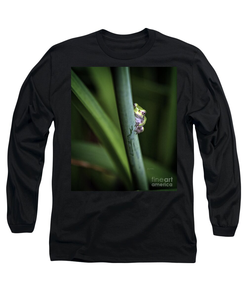 Jan Killian Long Sleeve T-Shirt featuring the photograph Green by Jan Killian