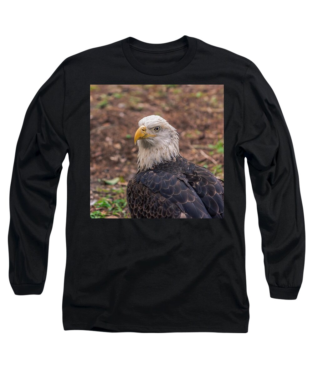America Long Sleeve T-Shirt featuring the photograph Haliaeetus leucocephalus by Traveler's Pics