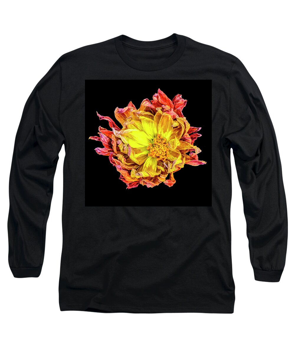 Flower Long Sleeve T-Shirt featuring the photograph Happy After Life 1 by Tony Locke