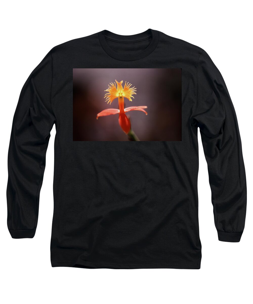 Flower Photos Long Sleeve T-Shirt featuring the photograph Hello There by Steven Huszar